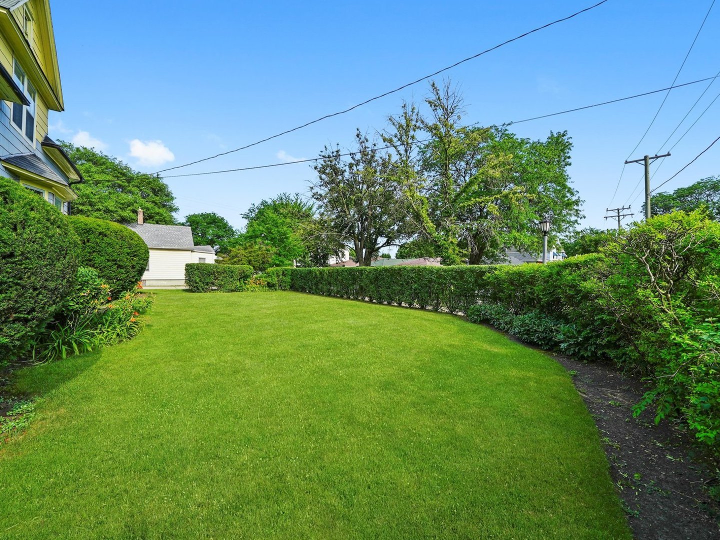 31 Bluff Avenue, La Grange, IL 60525