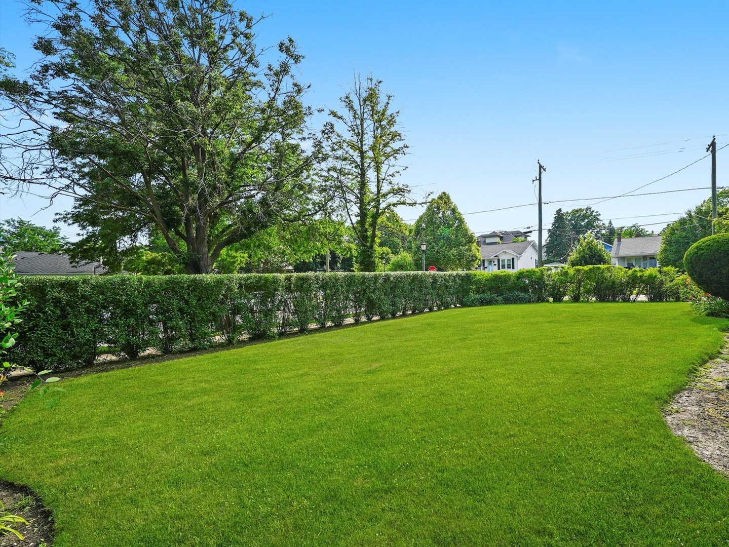 31 Bluff Avenue, La Grange, IL 60525