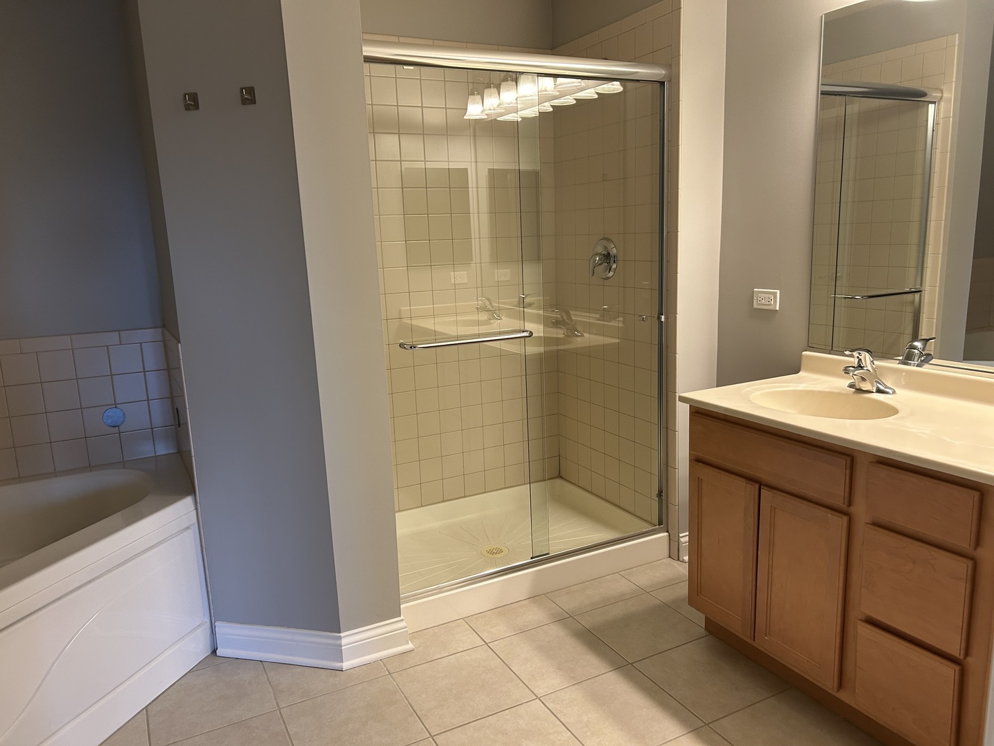 3400 N Old Arlington Heights Road #306, Arlington Heights, IL 60004