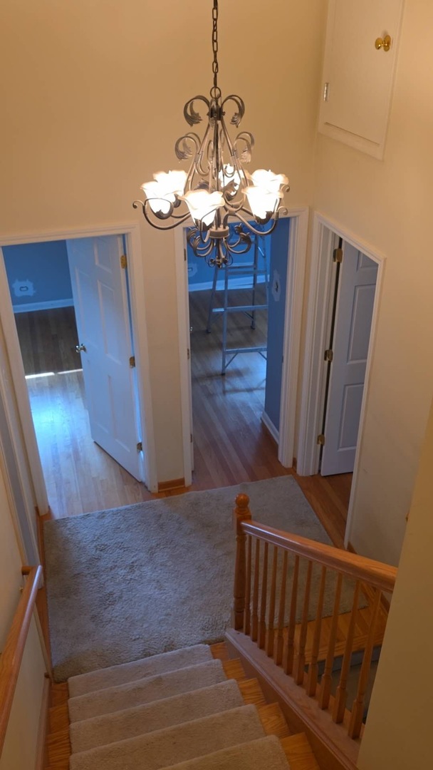 242 Holmes Avenue, Clarendon Hills, IL 60514