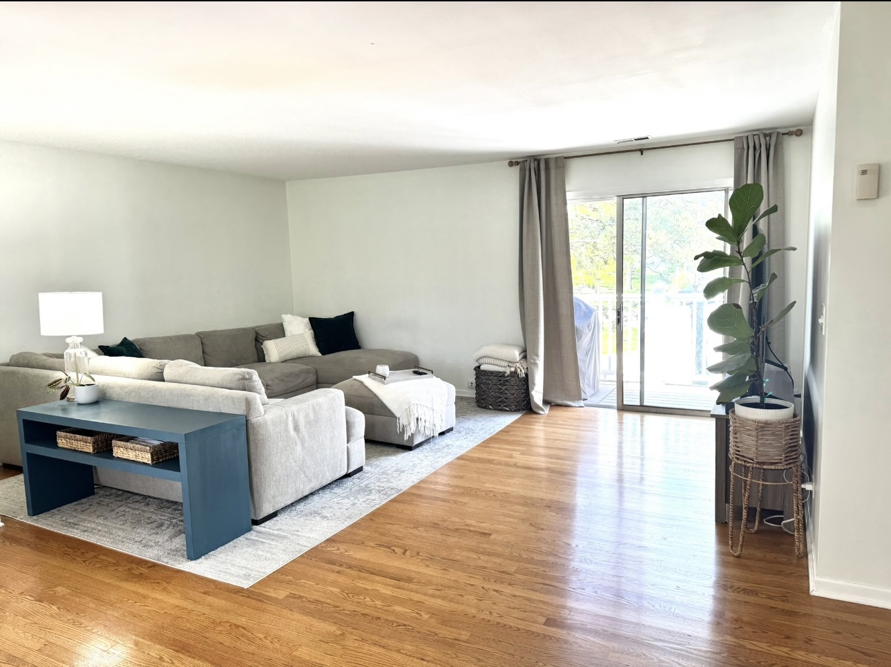 974 Mallard Circle #974, Schaumburg, IL 60193