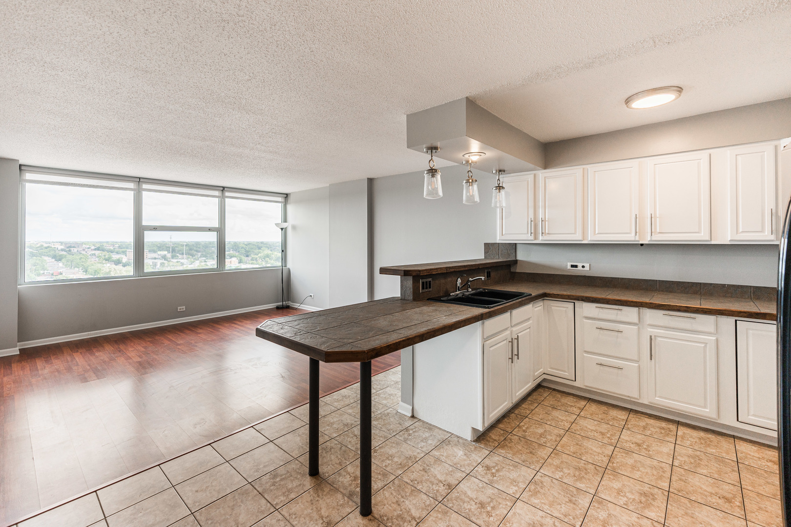 7234 W North Avenue #1608, Elmwood Park, IL 60707