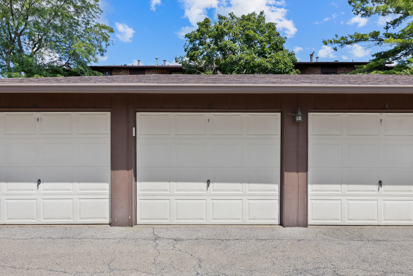 1313 Cass Lane #301, Westmont, IL 60559