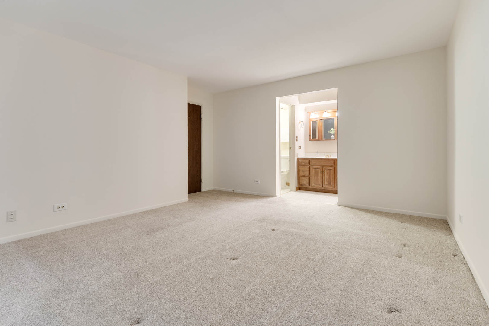1313 Cass Lane #301, Westmont, IL 60559