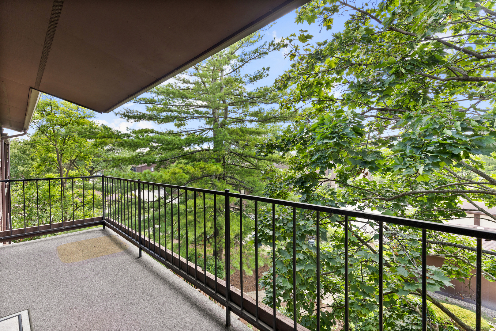 1313 Cass Lane #301, Westmont, IL 60559
