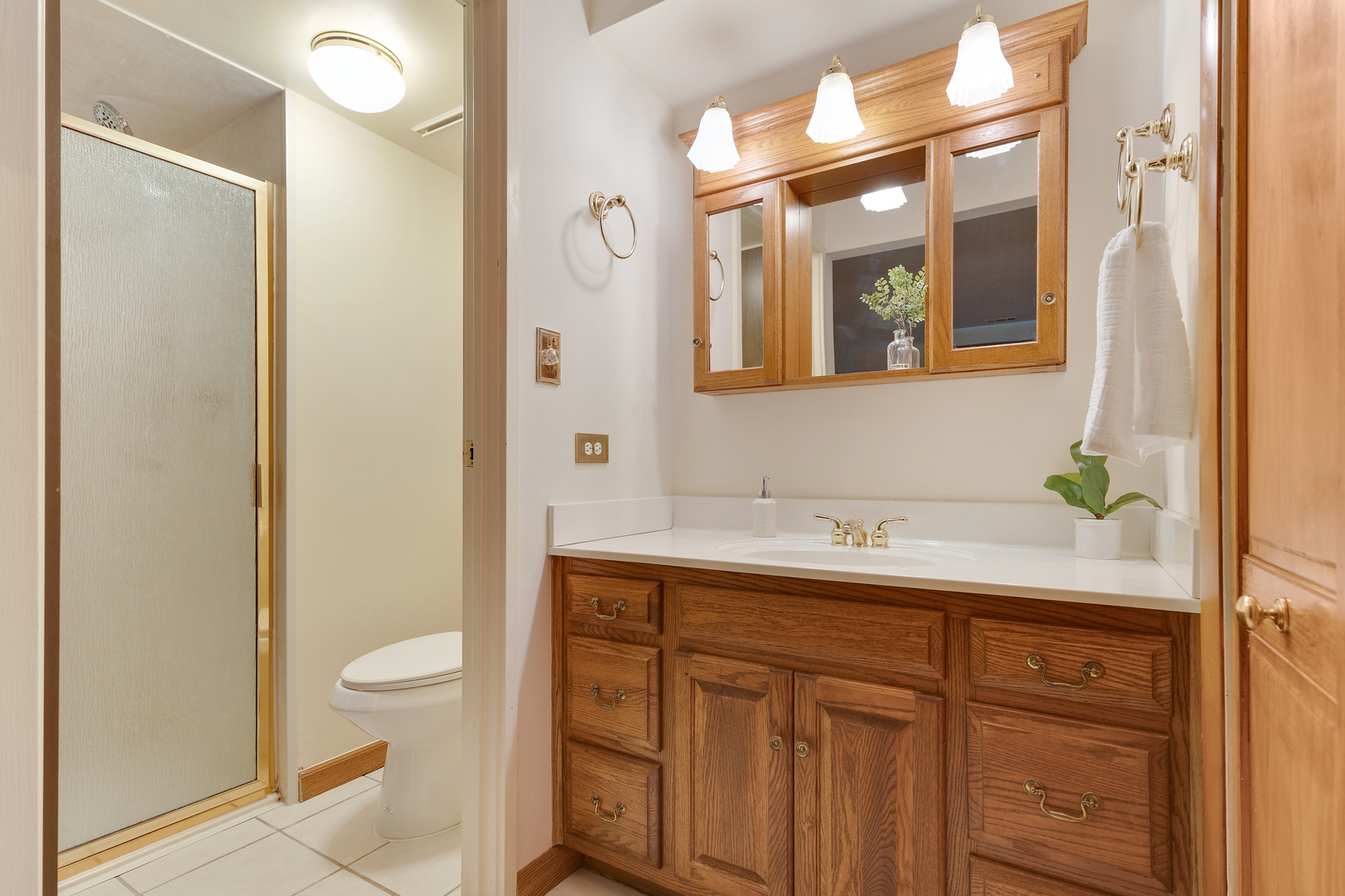 1313 Cass Lane #301, Westmont, IL 60559