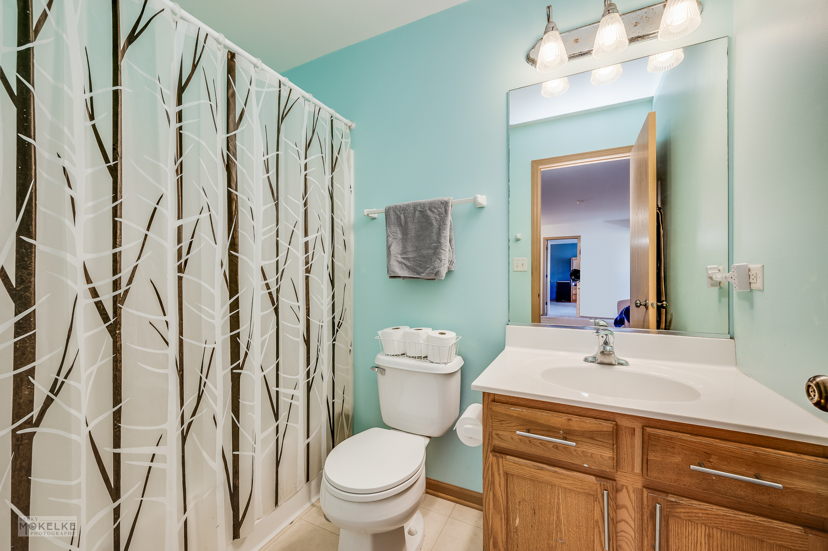 1131 Anderson Road, Elburn, IL 60119