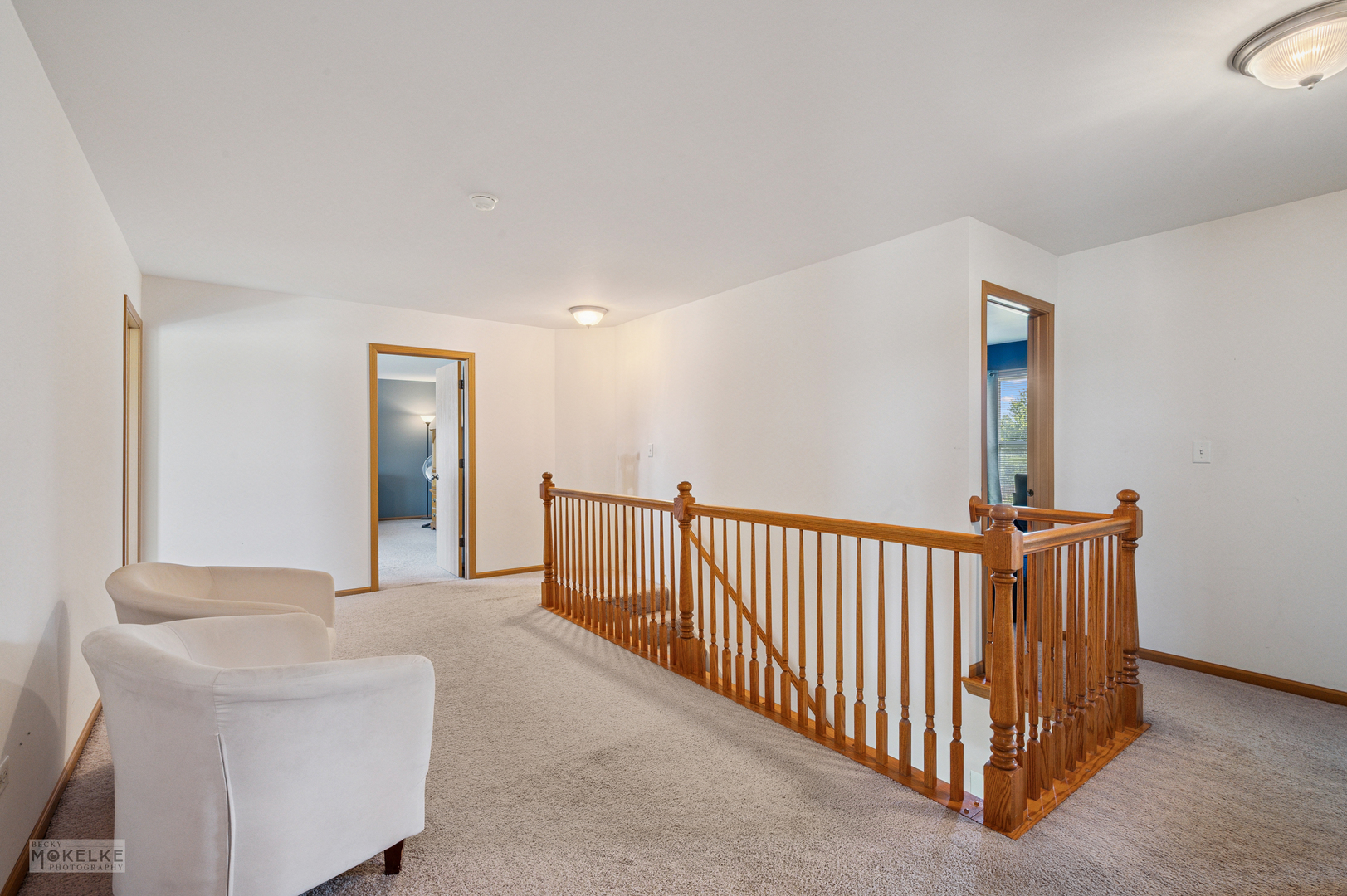 1131 Anderson Road, Elburn, IL 60119