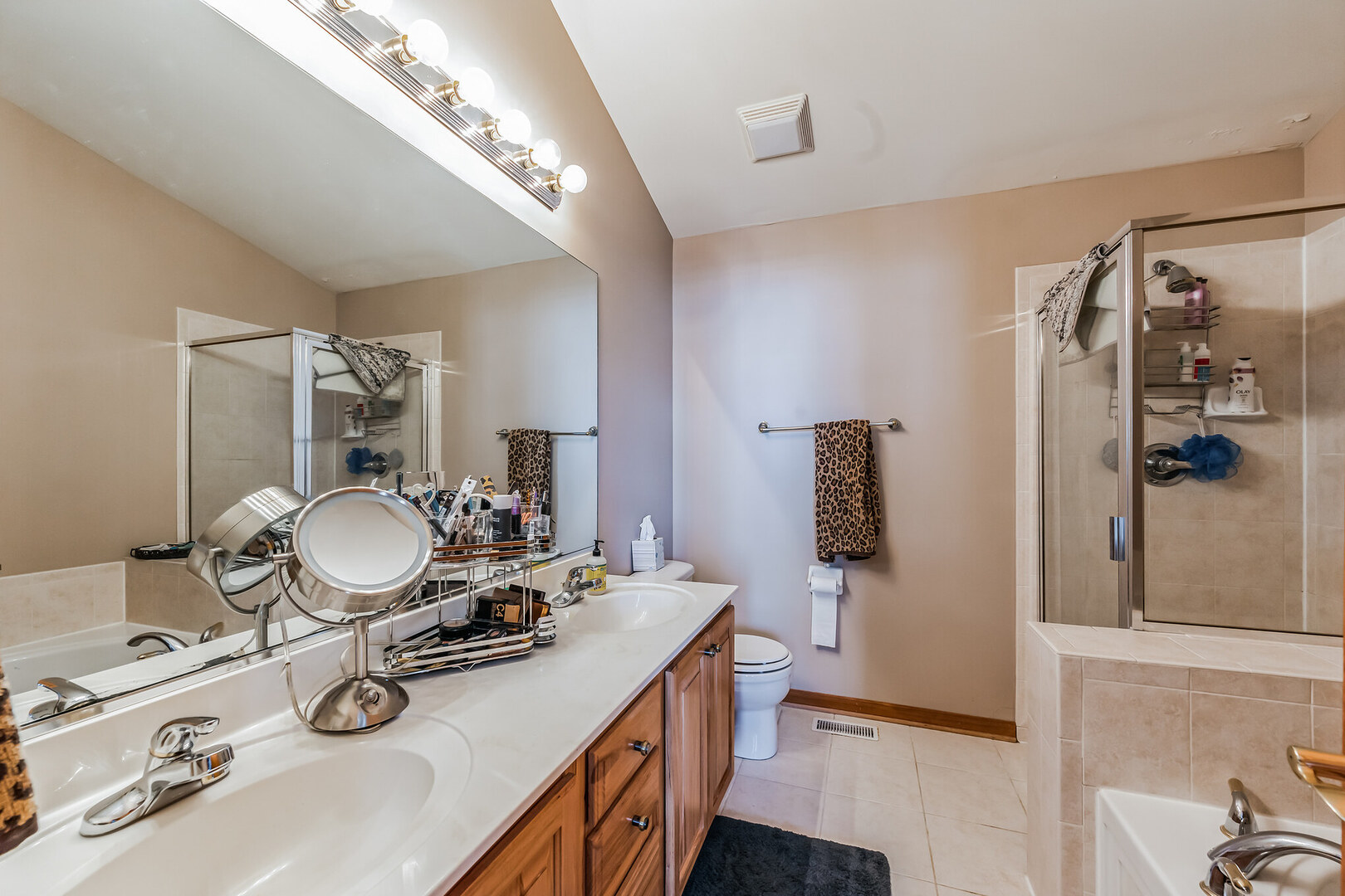 3003 SAGANASHKEE Lane #3003, Naperville, IL 60564