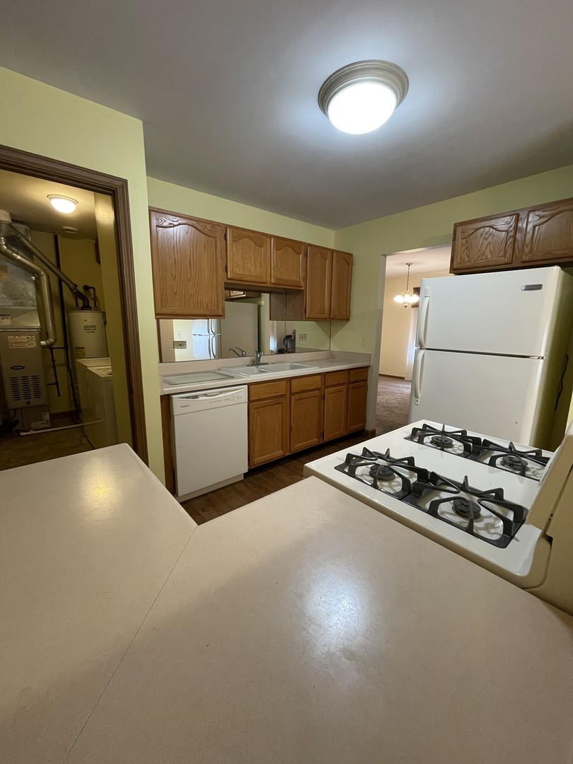 7019 Buckingham Circle, Woodridge, IL 60517