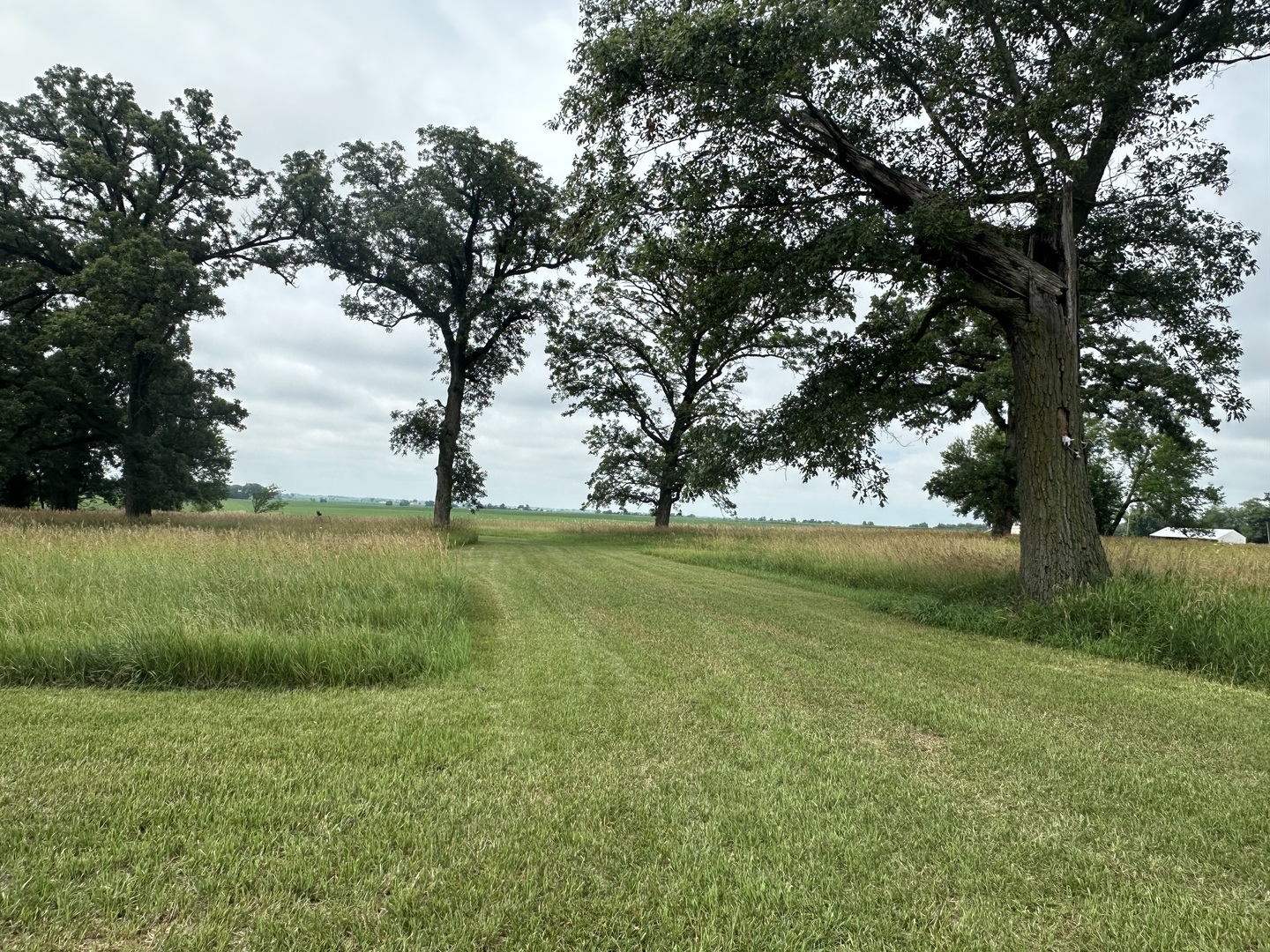 3548 S Paw Paw Road, Earlville, IL 60518