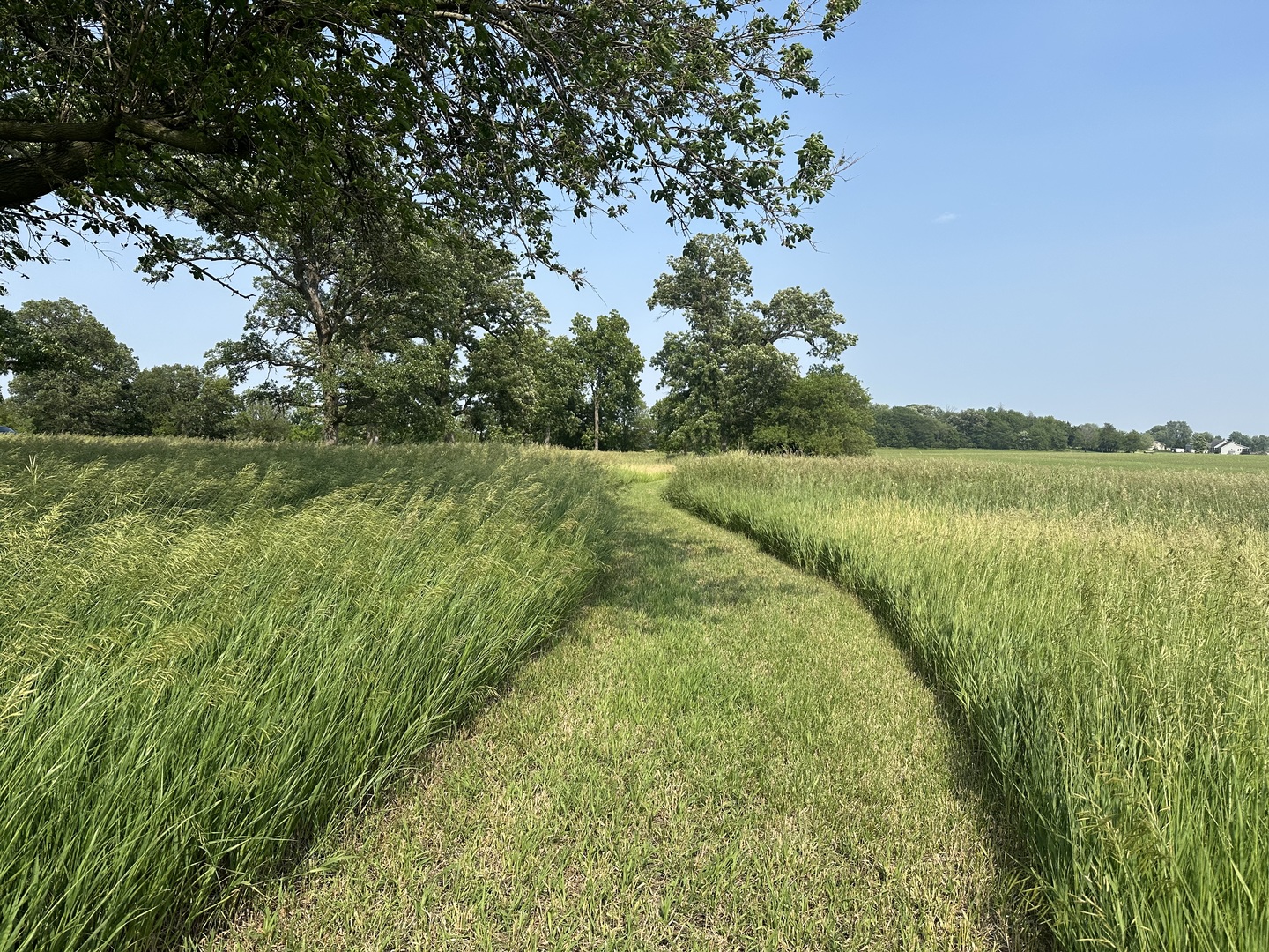 3548 S Paw Paw Road, Earlville, IL 60518