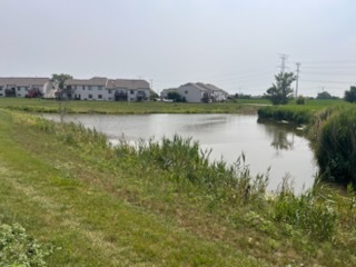 8310 Auburn Lane, Frankfort, IL 60423