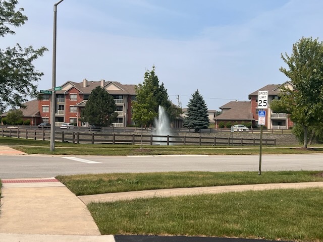 8310 Auburn Lane, Frankfort, IL 60423