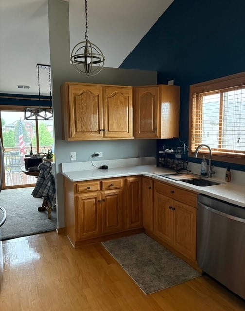 8310 Auburn Lane, Frankfort, IL 60423