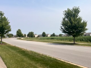 8310 Auburn Lane, Frankfort, IL 60423
