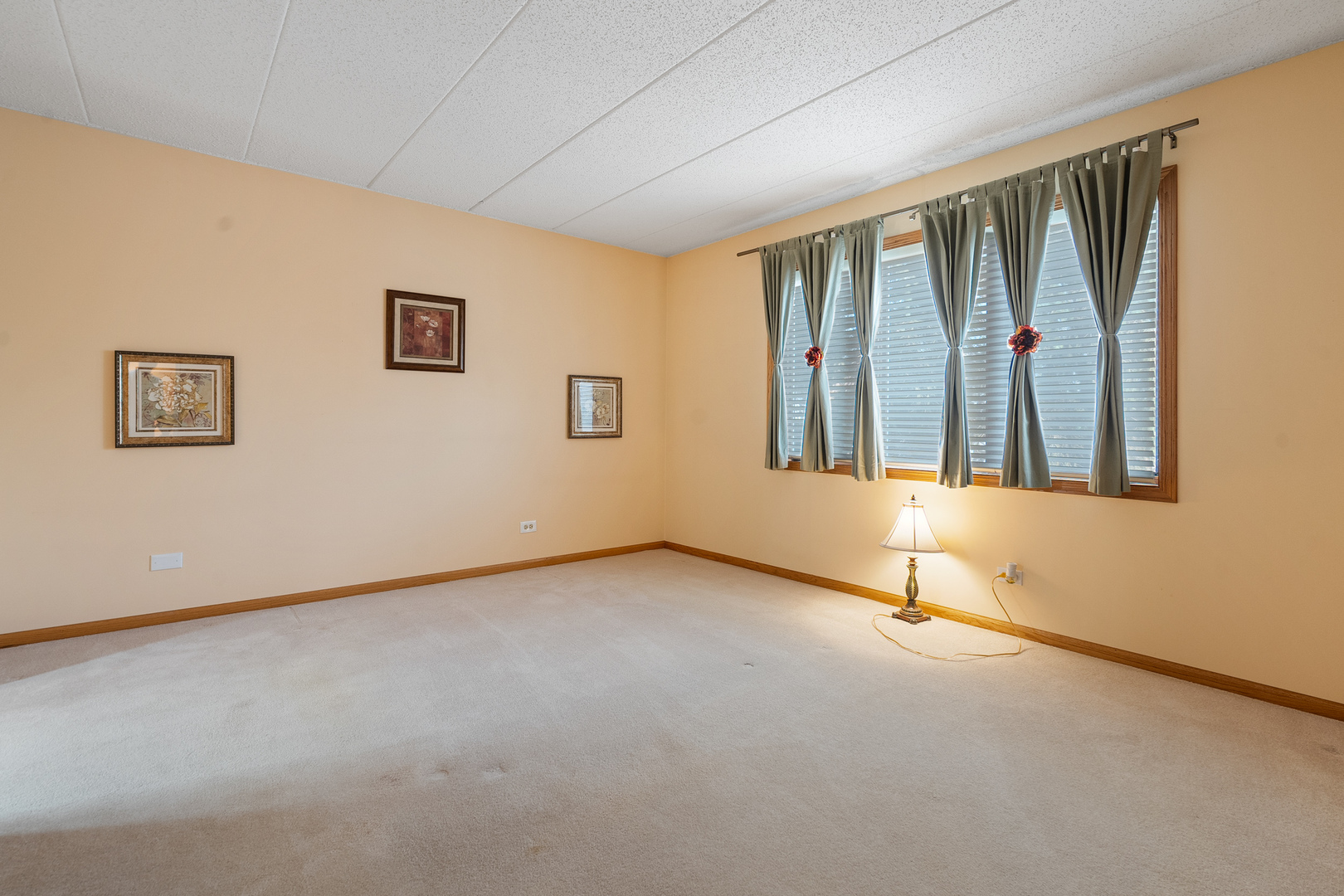 8697 W 111th Street #2D, Palos Hills, IL 60465