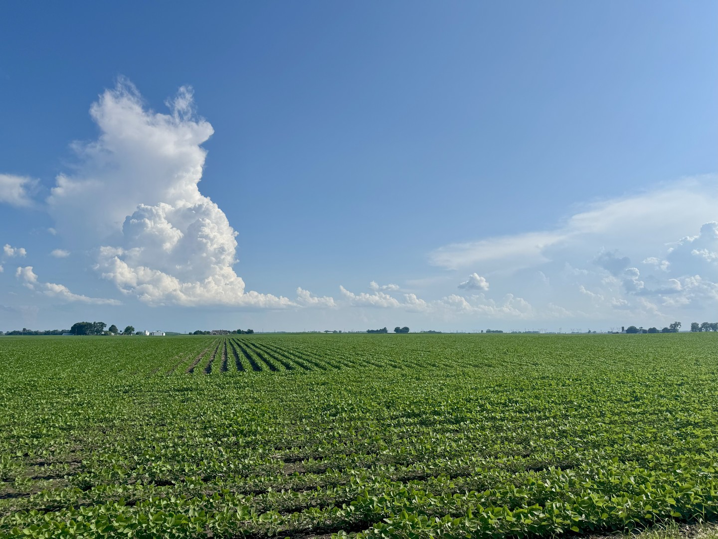 0000 W Helmar and Lisbon Road, Newark, IL 60541