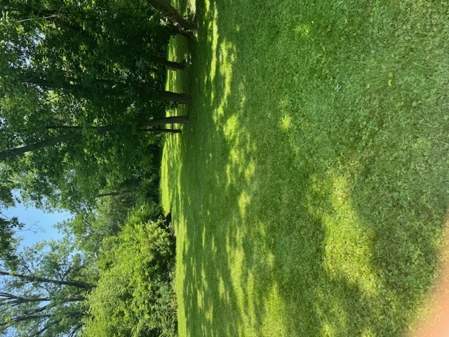 7425 Willow Springs Road, Countryside, IL 60525
