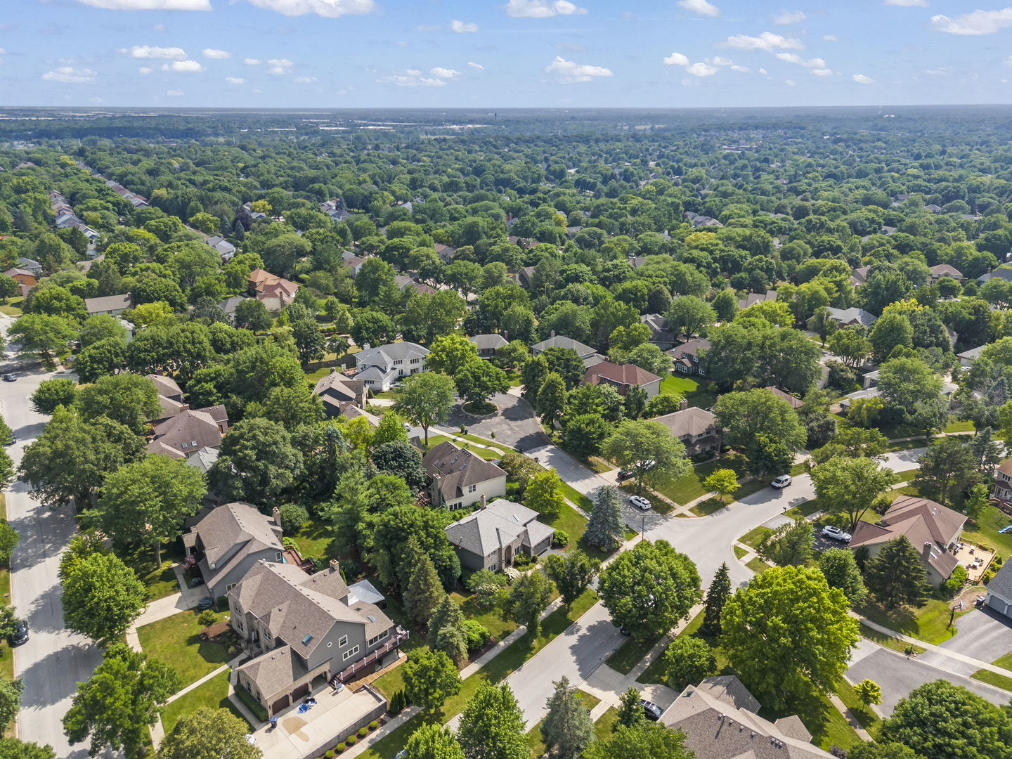 816 Spindletree Avenue, Naperville, IL 60565