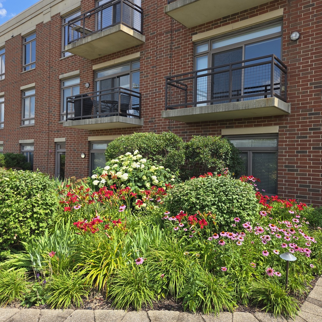 170 N Northwest Highway #410, Park Ridge, IL 60068
