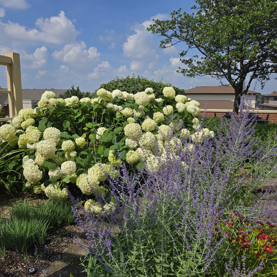 170 N Northwest Highway #410, Park Ridge, IL 60068