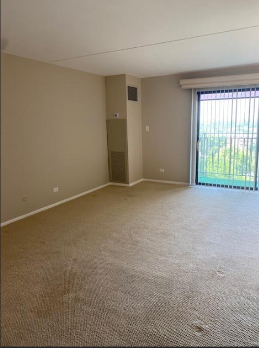 6340 AMERICANA Drive #1009, Willowbrook, IL 60527
