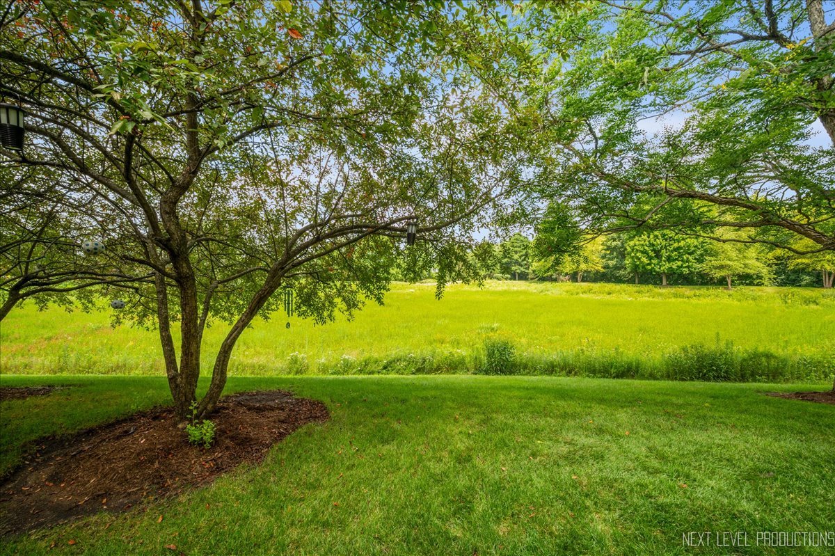 289 Birch Lane #289, St. Charles, IL 60175