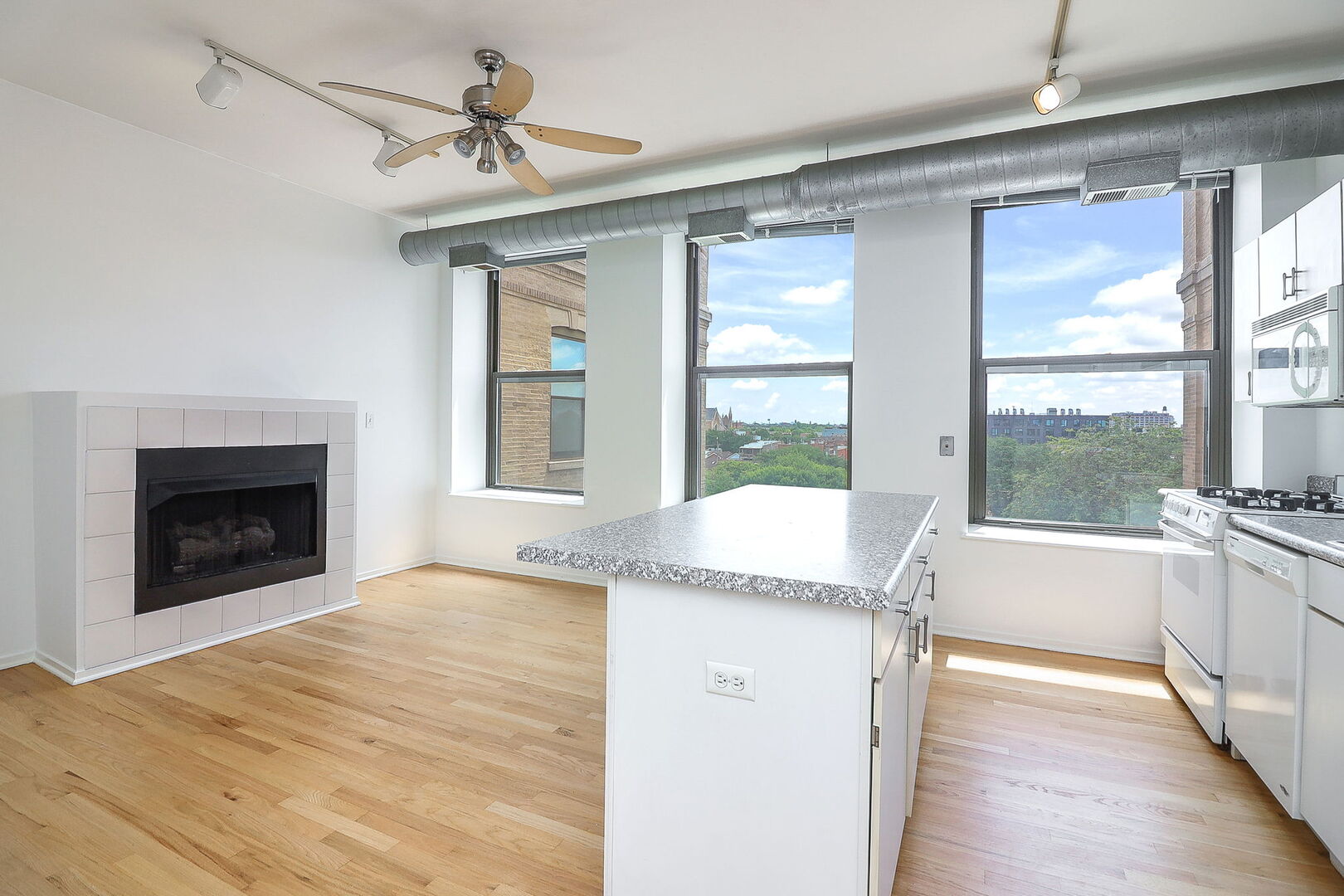 811 S LYTLE Street #514, Chicago, IL 60607