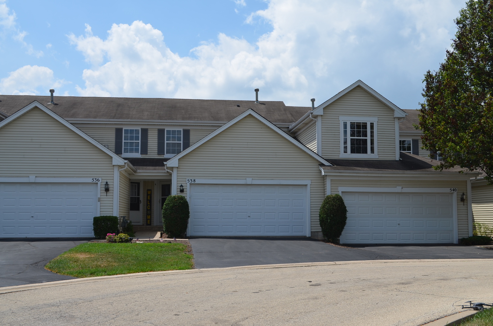 538 Prairie View Drive, Minooka, IL 60447
