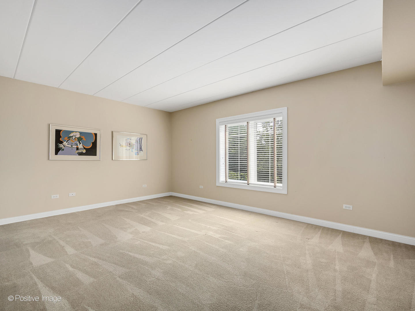 6655 S Cass Avenue #3D, Westmont, IL 60559