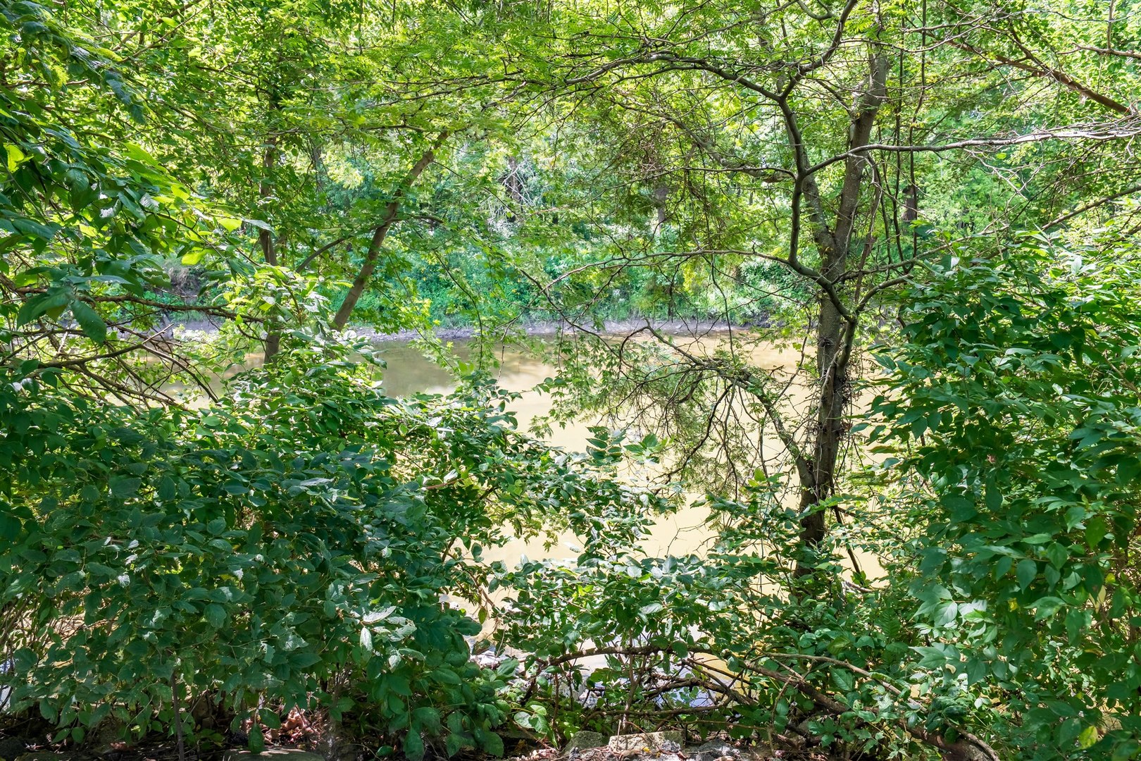 19097 N 1330 East Road, Pontiac, IL 61764