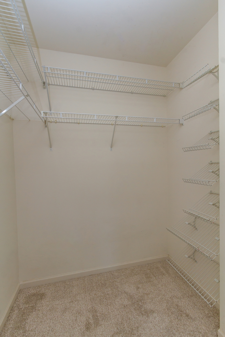 533 TELLURIDE Drive, Gilberts, IL 60136