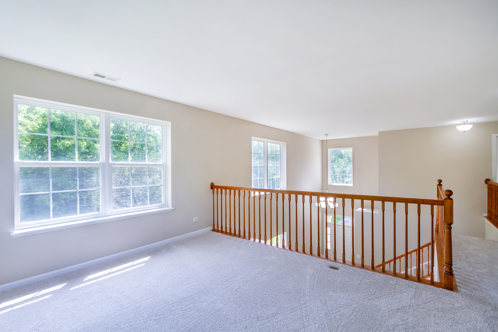 533 TELLURIDE Drive, Gilberts, IL 60136