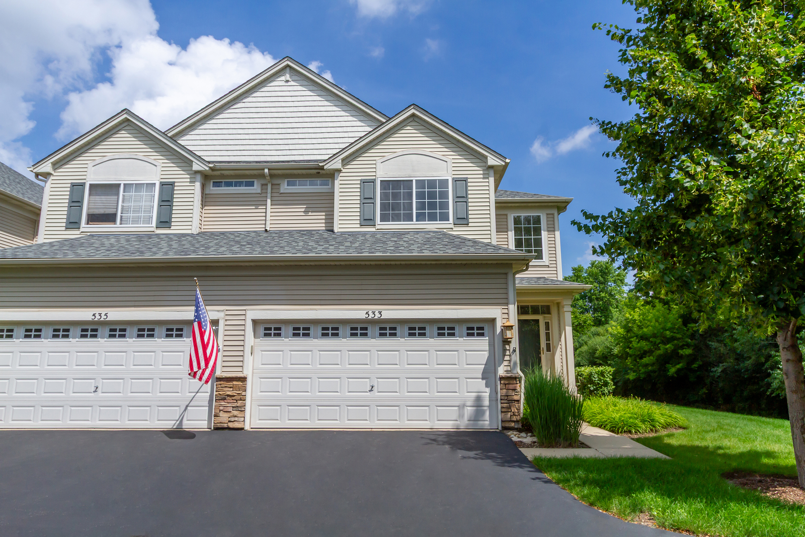 533 TELLURIDE Drive, Gilberts, IL 60136