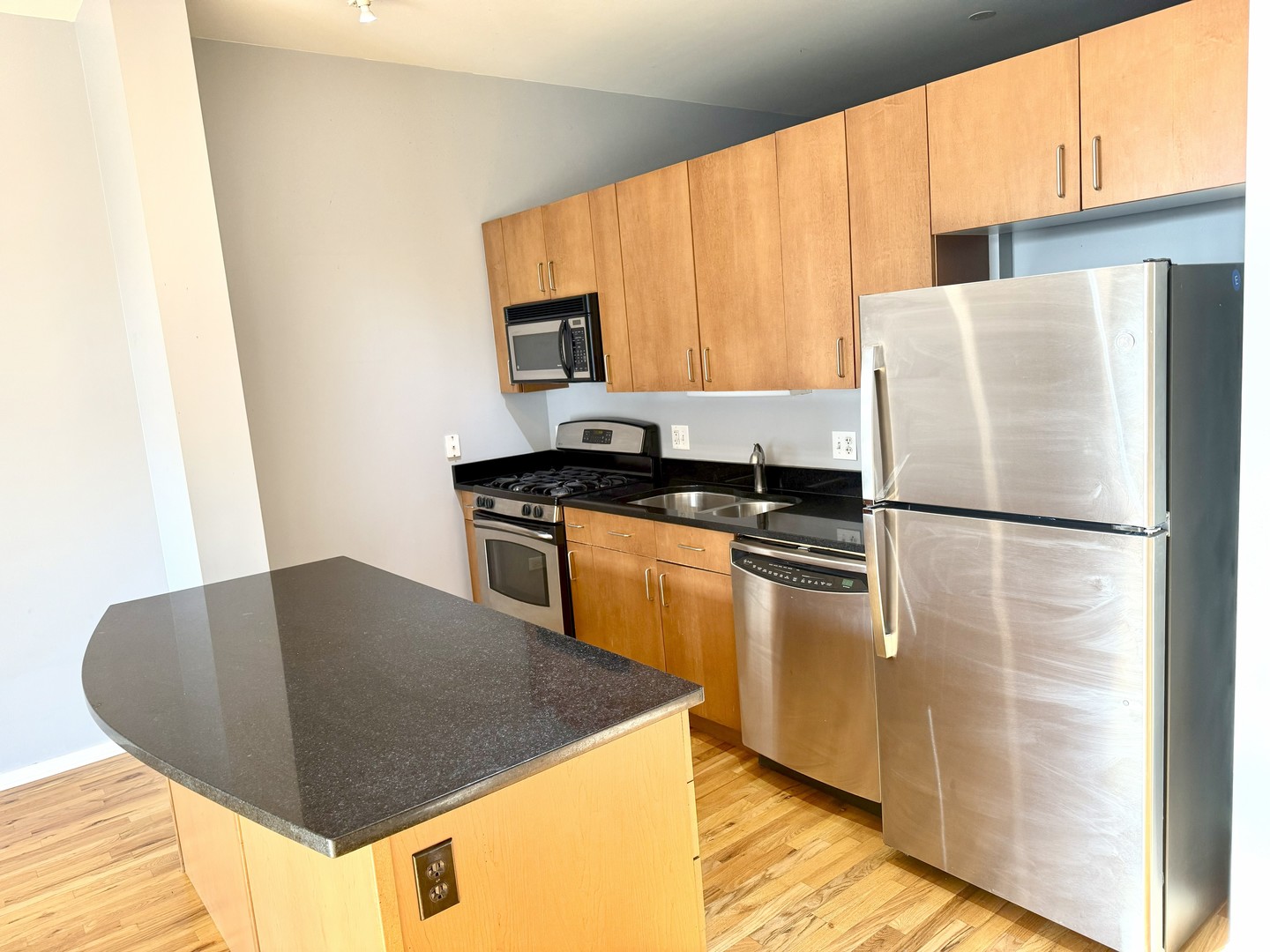 3505 S Morgan Street #411, Chicago, IL 60609