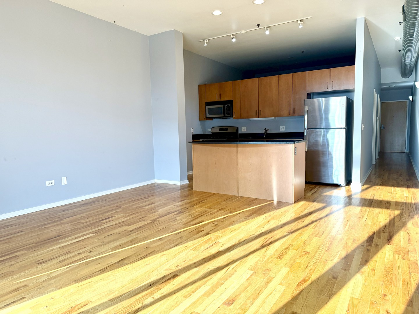 3505 S Morgan Street #411, Chicago, IL 60609