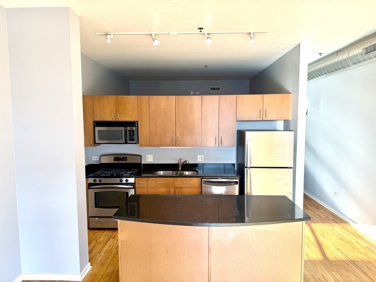3505 S Morgan Street #411, Chicago, IL 60609