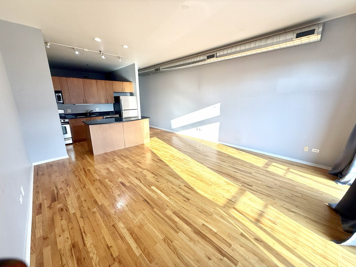 3505 S Morgan Street #411, Chicago, IL 60609