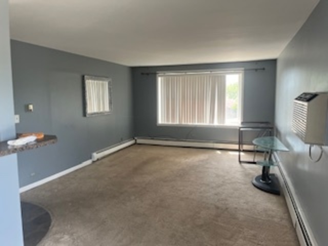 1375 Rebecca Drive #315, Hoffman Estates, IL 60169