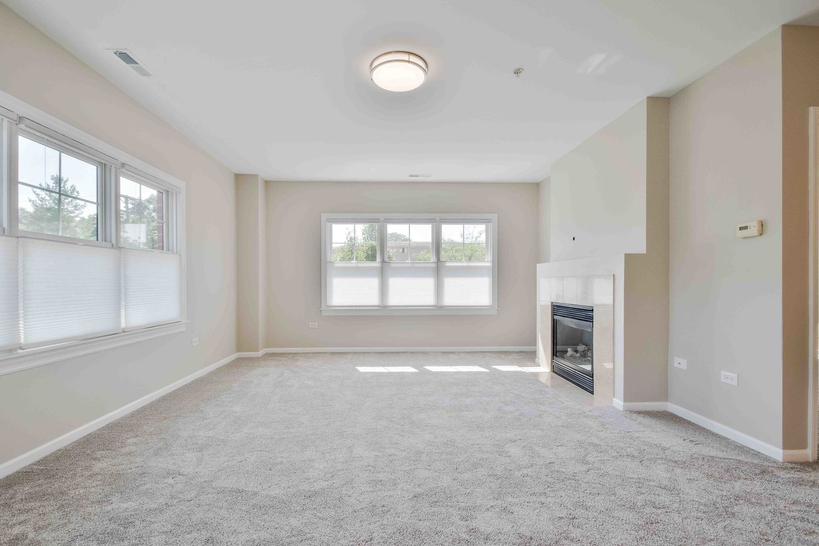 14 S Prospect Street #211, Roselle, IL 60172