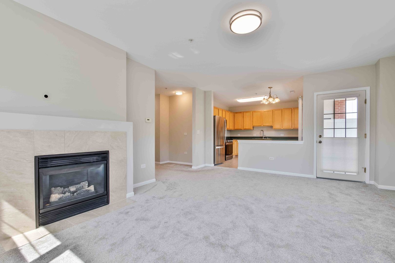 14 S Prospect Street #211, Roselle, IL 60172