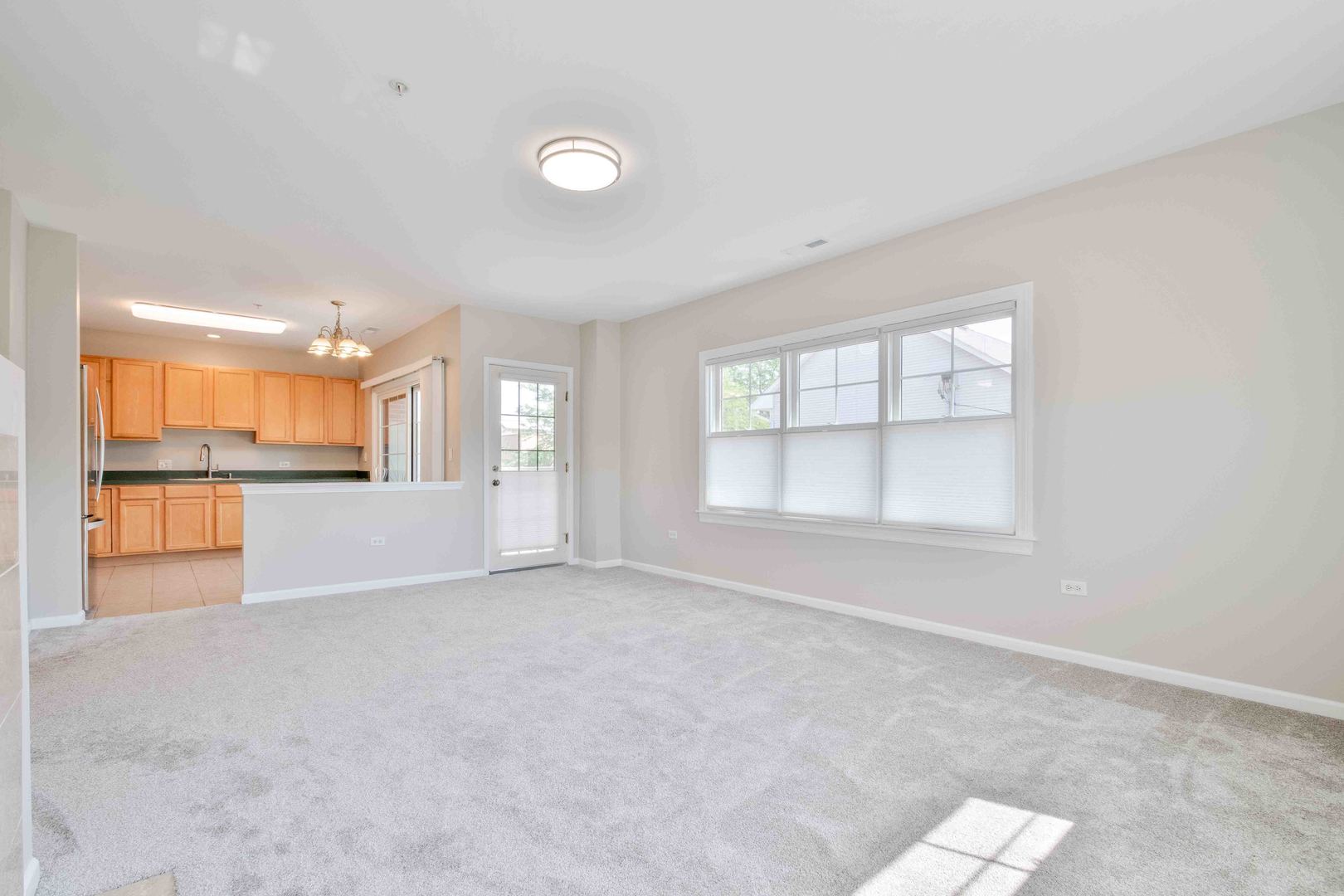 14 S Prospect Street #211, Roselle, IL 60172