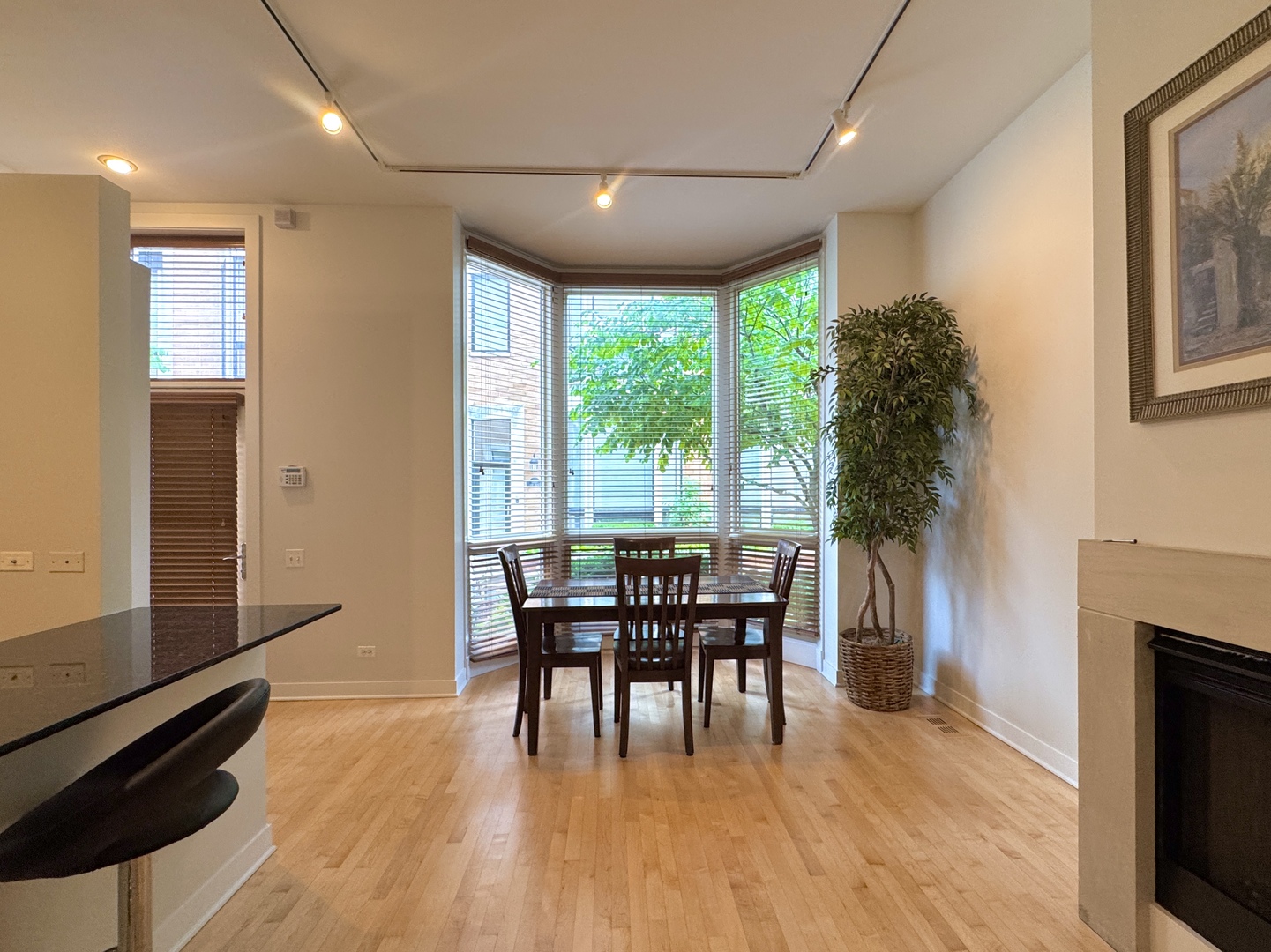 311 N Union Avenue #B, Chicago, IL 60661