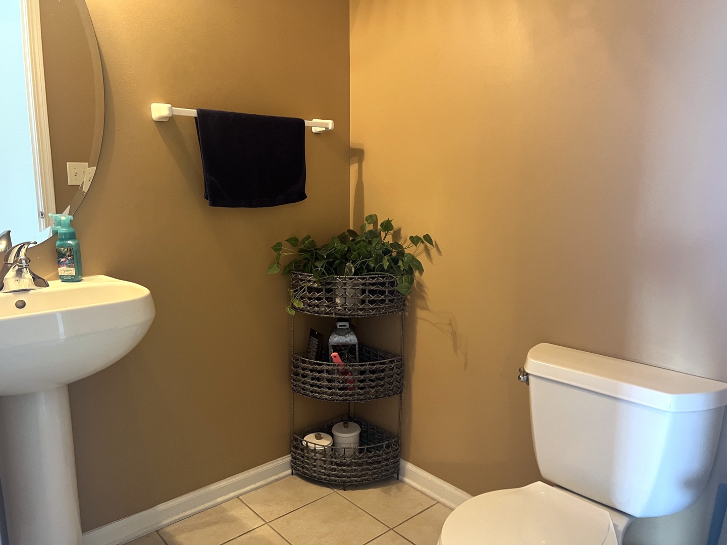 14703 Paul Revere Court, Plainfield, IL 60544