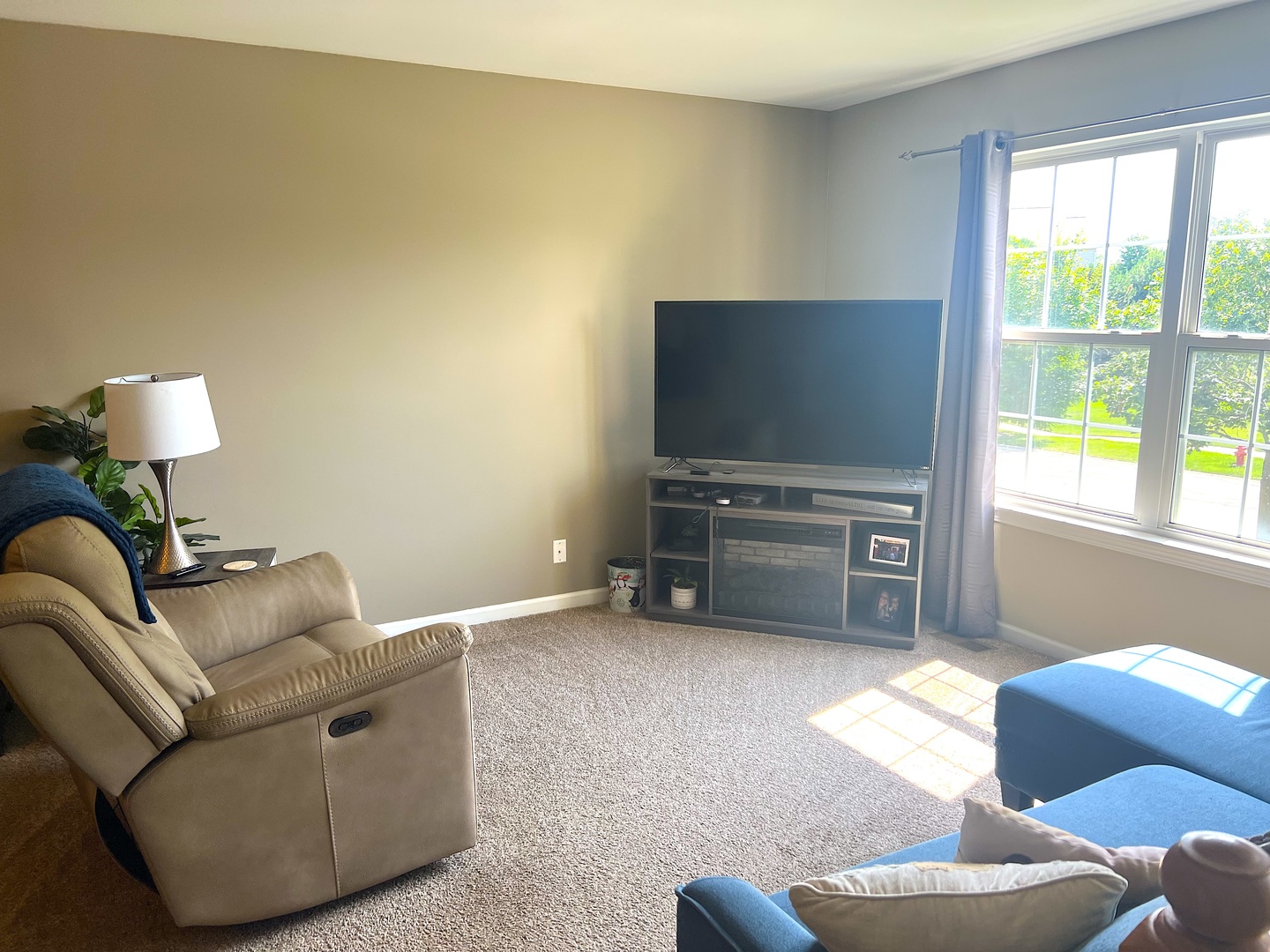 14703 Paul Revere Court, Plainfield, IL 60544
