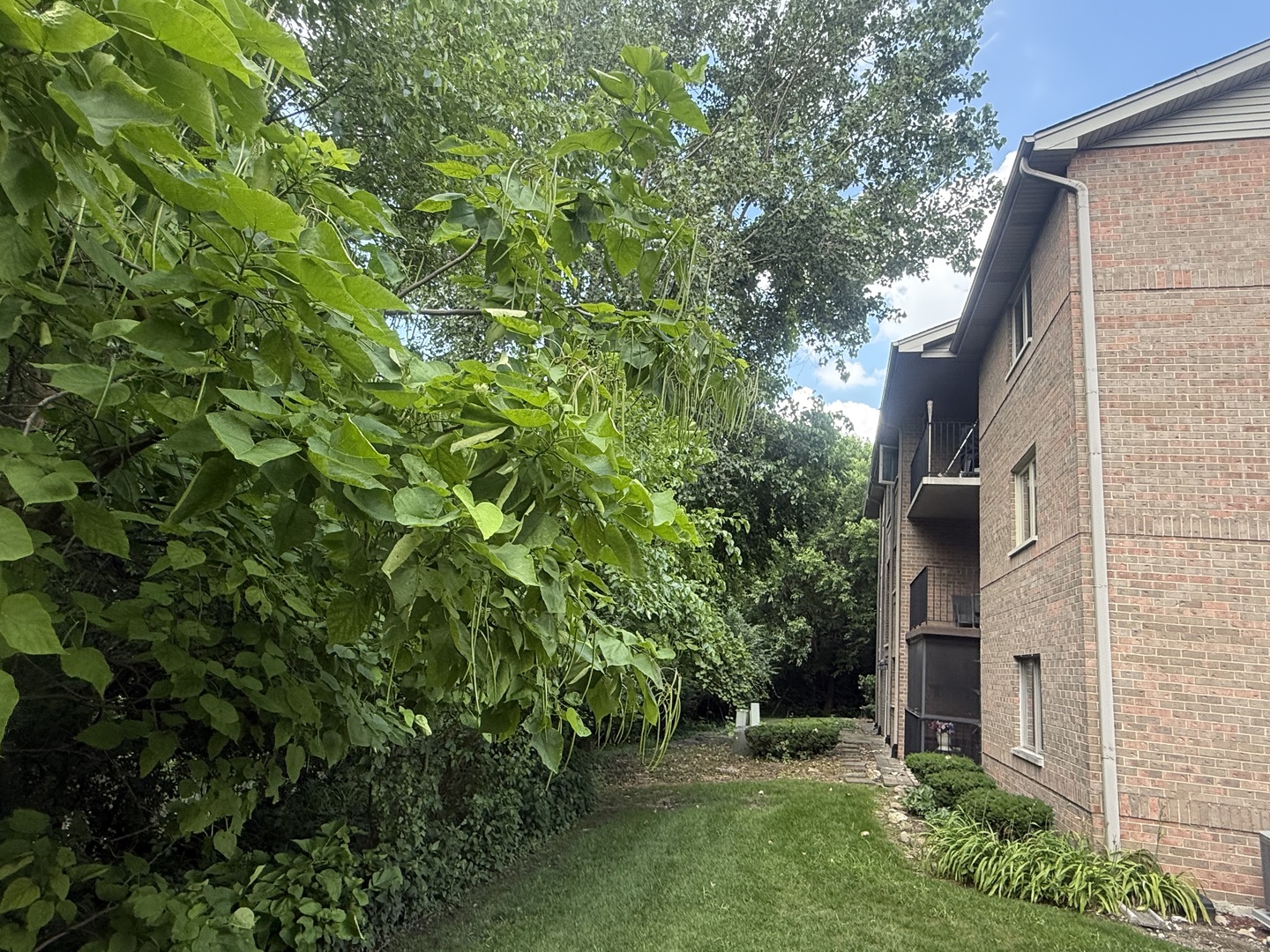 10268 Southwest Highway #3C, Chicago Ridge, IL 60415