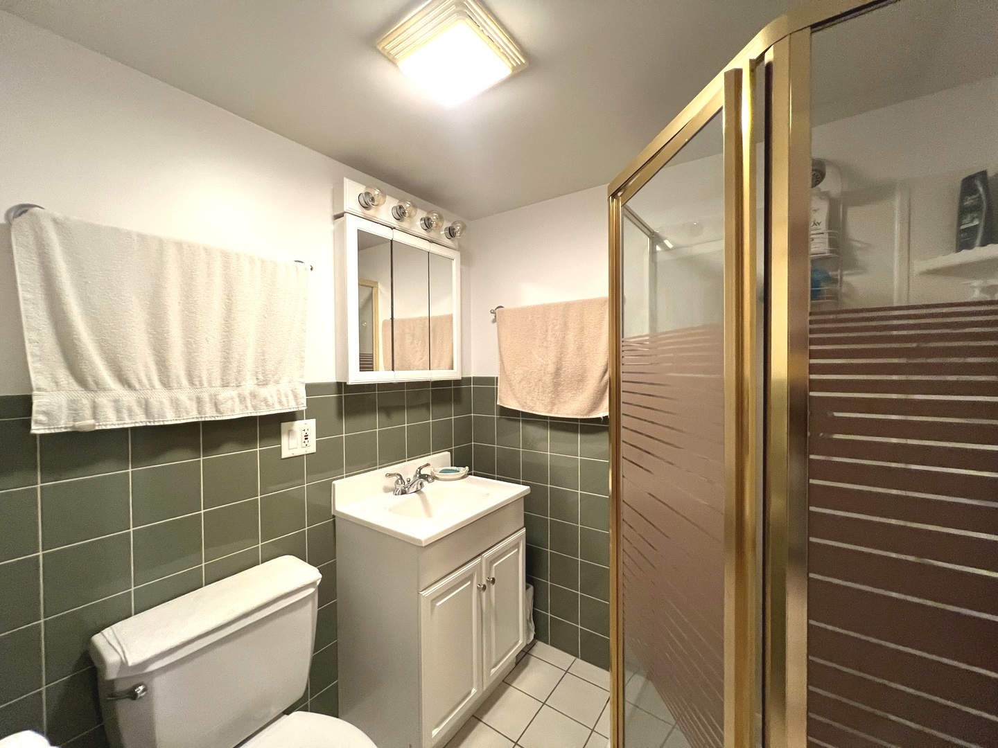 8809 Oleander Avenue, Morton Grove, IL 60053