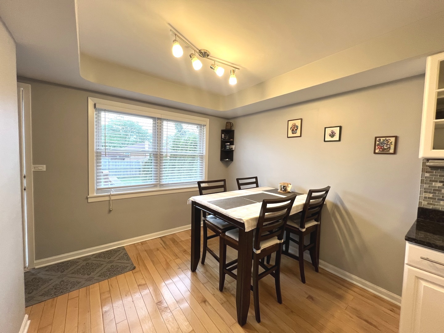 8809 Oleander Avenue, Morton Grove, IL 60053