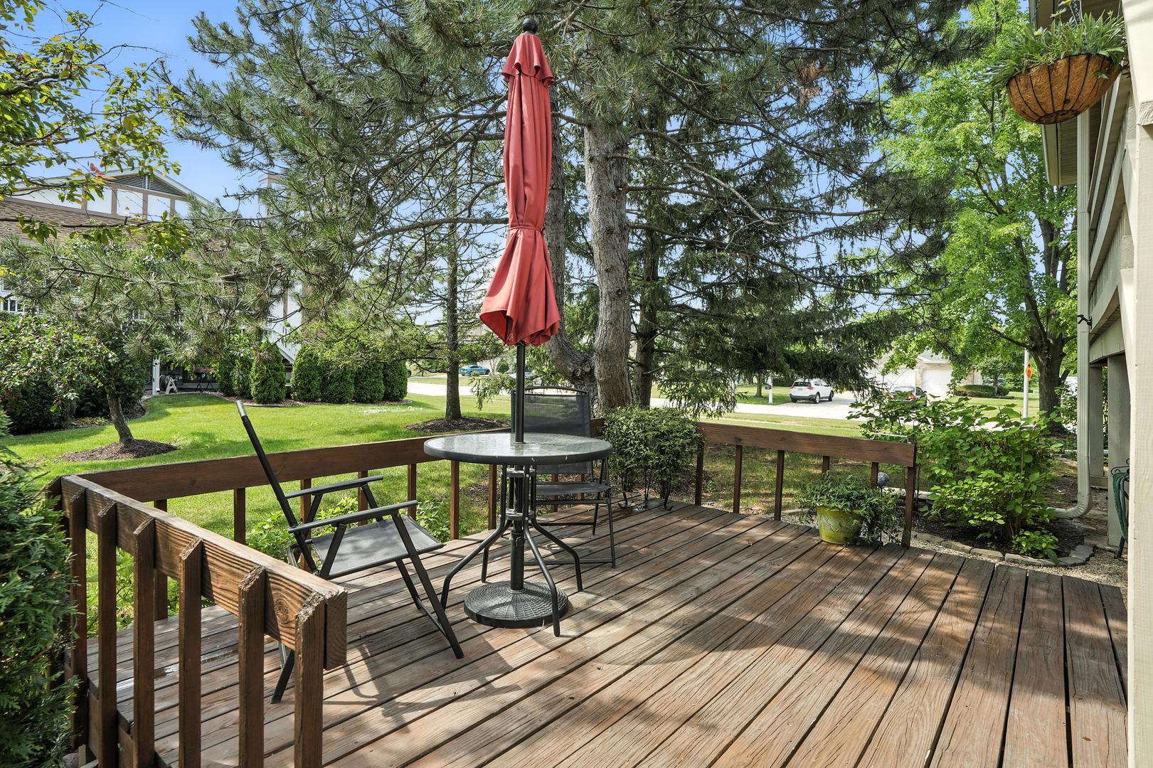9334 DRUMMOND Drive #9334, Tinley Park, IL 60487